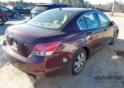 2010 Honda Accord 2.4 Ex-L из США, поврежденный, VIN 1HGCP2F85AA145291